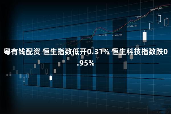 粤有钱配资 恒生指数低开0.31% 恒生科技指数跌0.95%