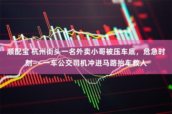 顺配宝 杭州街头一名外卖小哥被压车底，危急时刻——一车公交司机冲进马路抬车救人