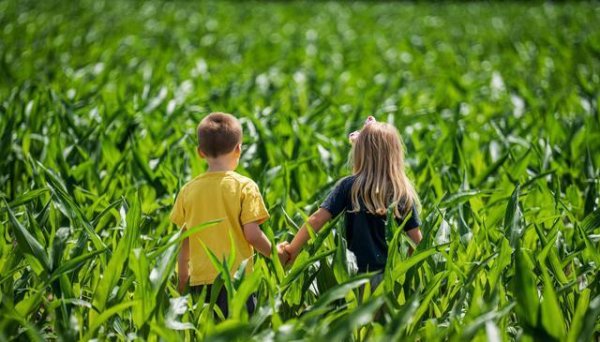 锦鲤配资 孩子说“我不想上学”，除了坚持、妥协，我们还能做什么？