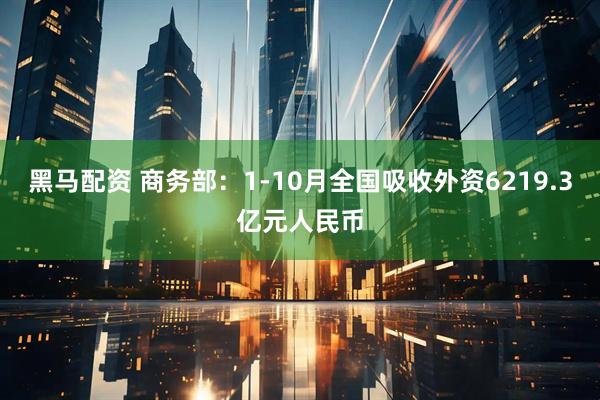 黑马配资 商务部：1-10月全国吸收外资6219.3亿元人民币