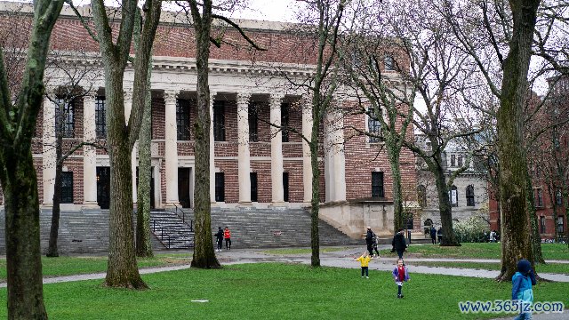 哈佛大学图书馆 （新华社/图）